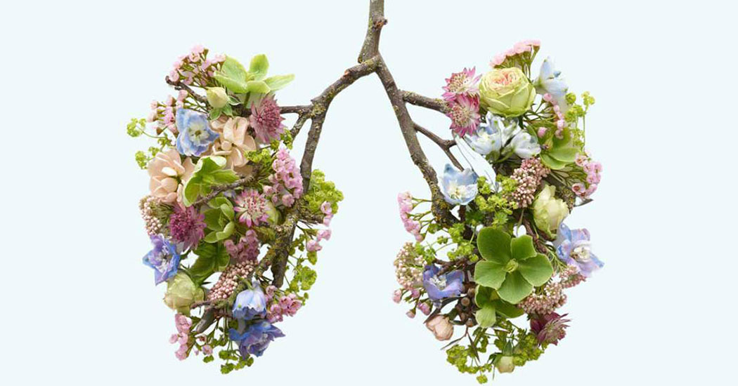 L’architecture du souffle