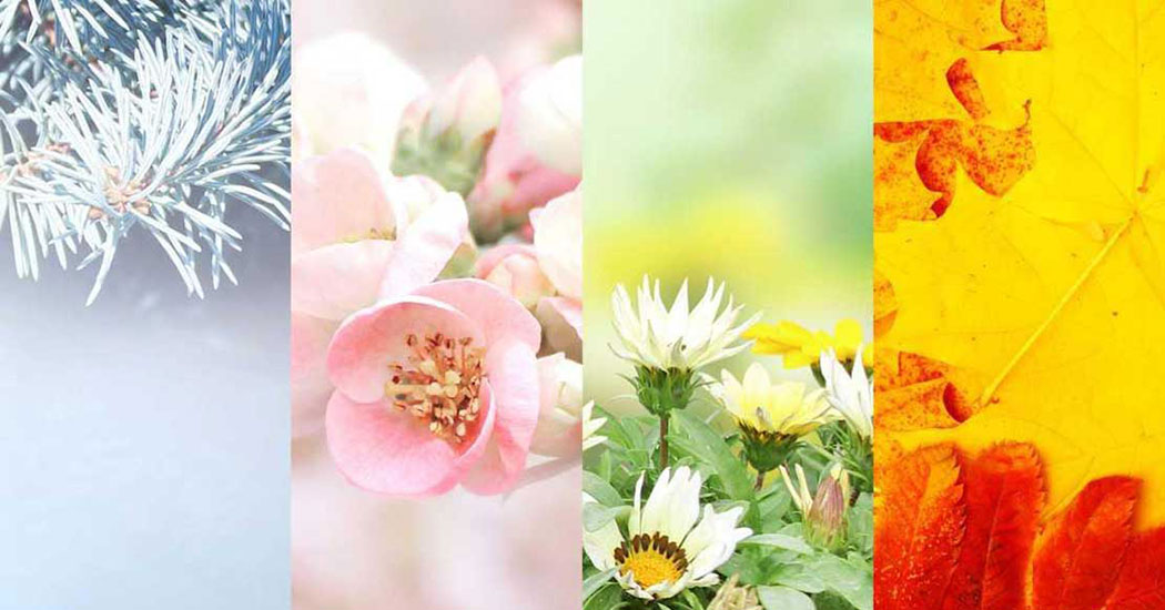 Sérénité Saisonnière