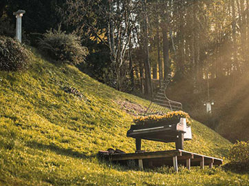 The Soundscapes of Serenity