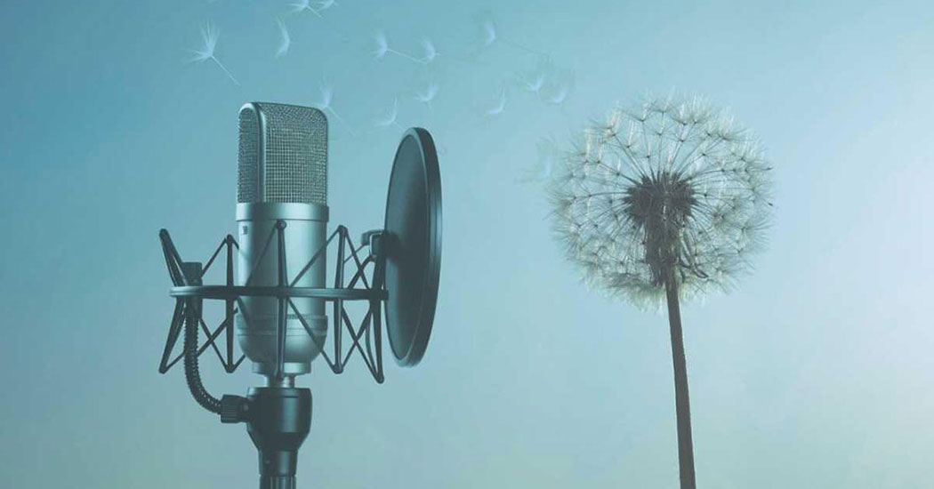 Introducing the Pause Here Podcast