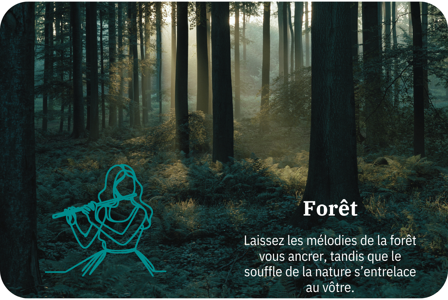 Forêt | Soundscapes