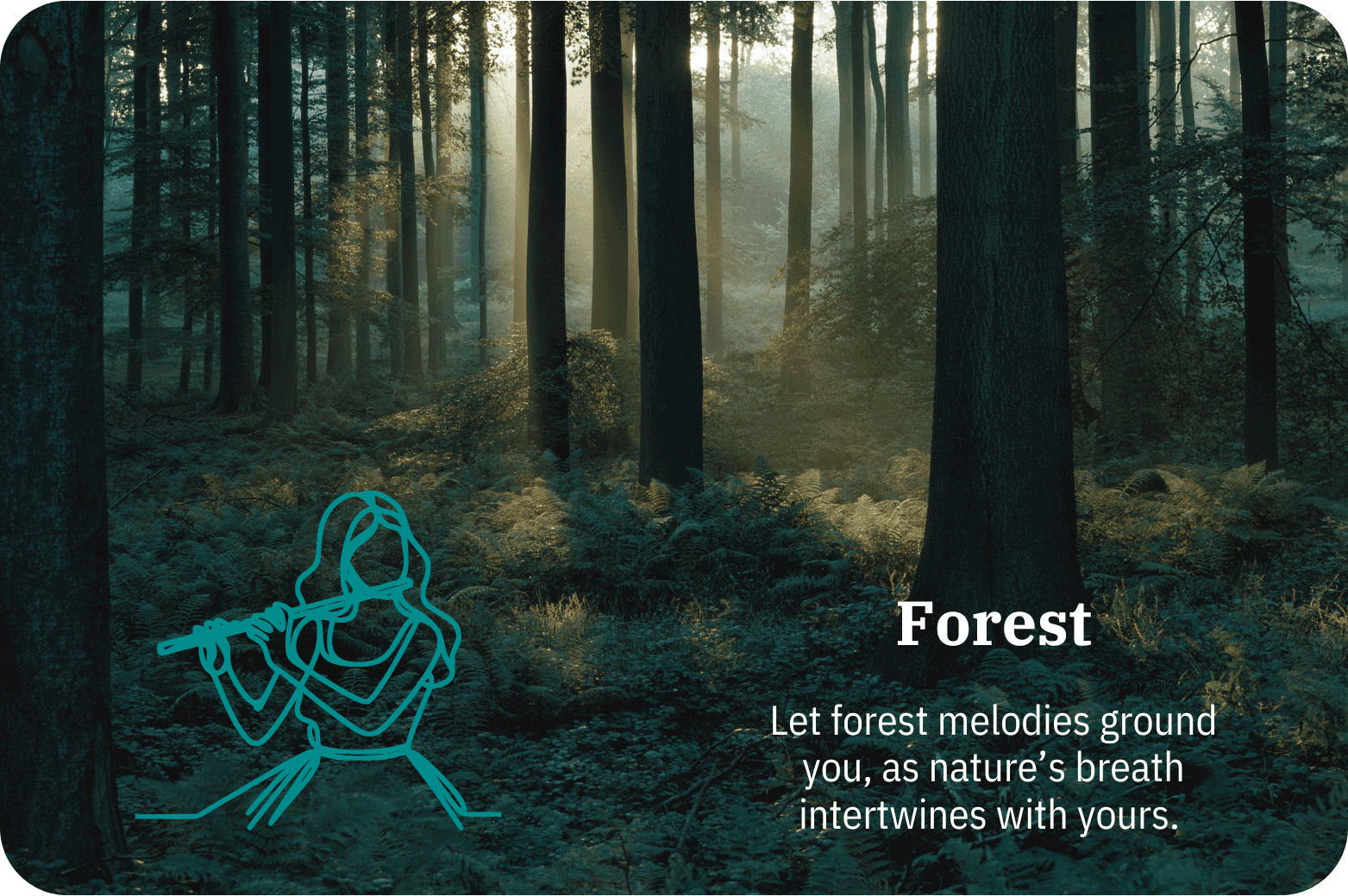 Forest | Soundscapes